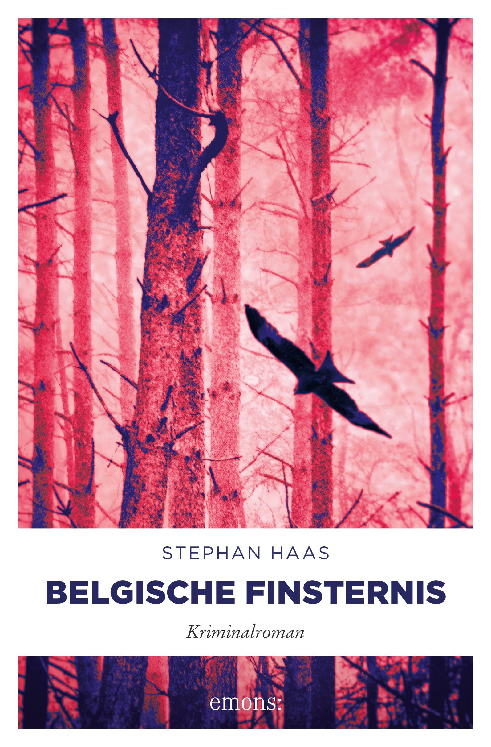 Cover: 9783740809126 | Belgische Finsternis | Kriminalroman | Stephan Haas | Taschenbuch