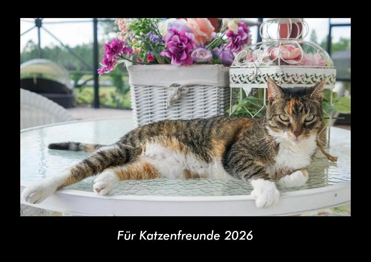 Cover: 9783755999126 | Für Katzenfreunde 2026 Fotokalender DIN A3 | Tobias Becker | Kalender