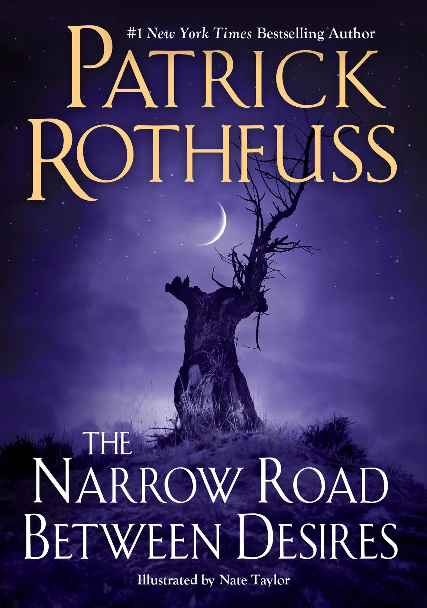 Cover: 9780756419226 | The Narrow Road Between Desires | Patrick Rothfuss | Taschenbuch