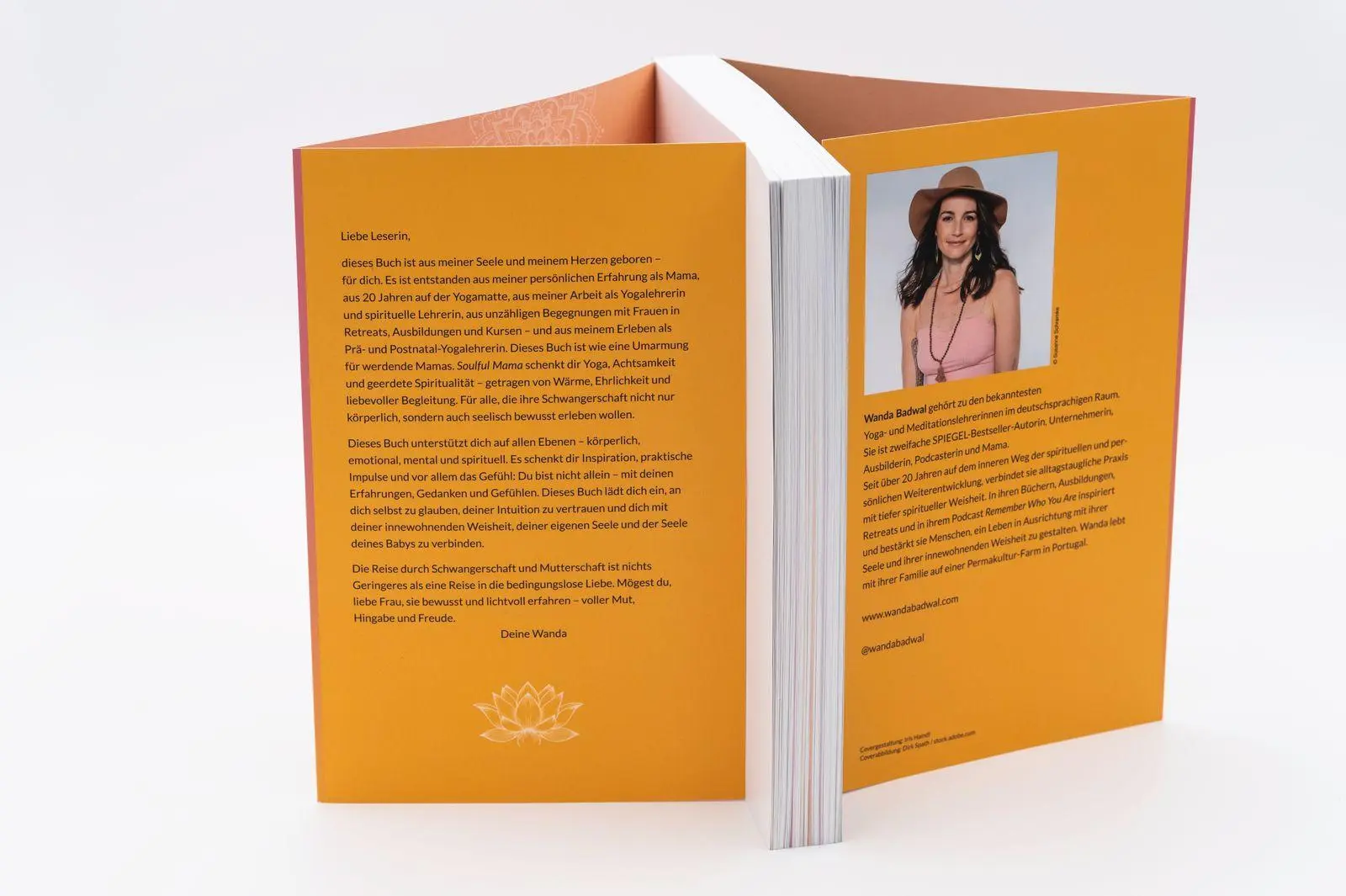 Bild: 9783426449226 | Soulful Mama | Wanda Badwal | Taschenbuch | 352 S. | Deutsch | 2025