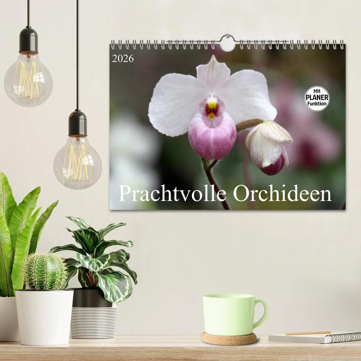 Bild: 9783457999226 | Prachtvolle Orchideen (Wandkalender 2026 DIN A4 quer), CALVENDO...