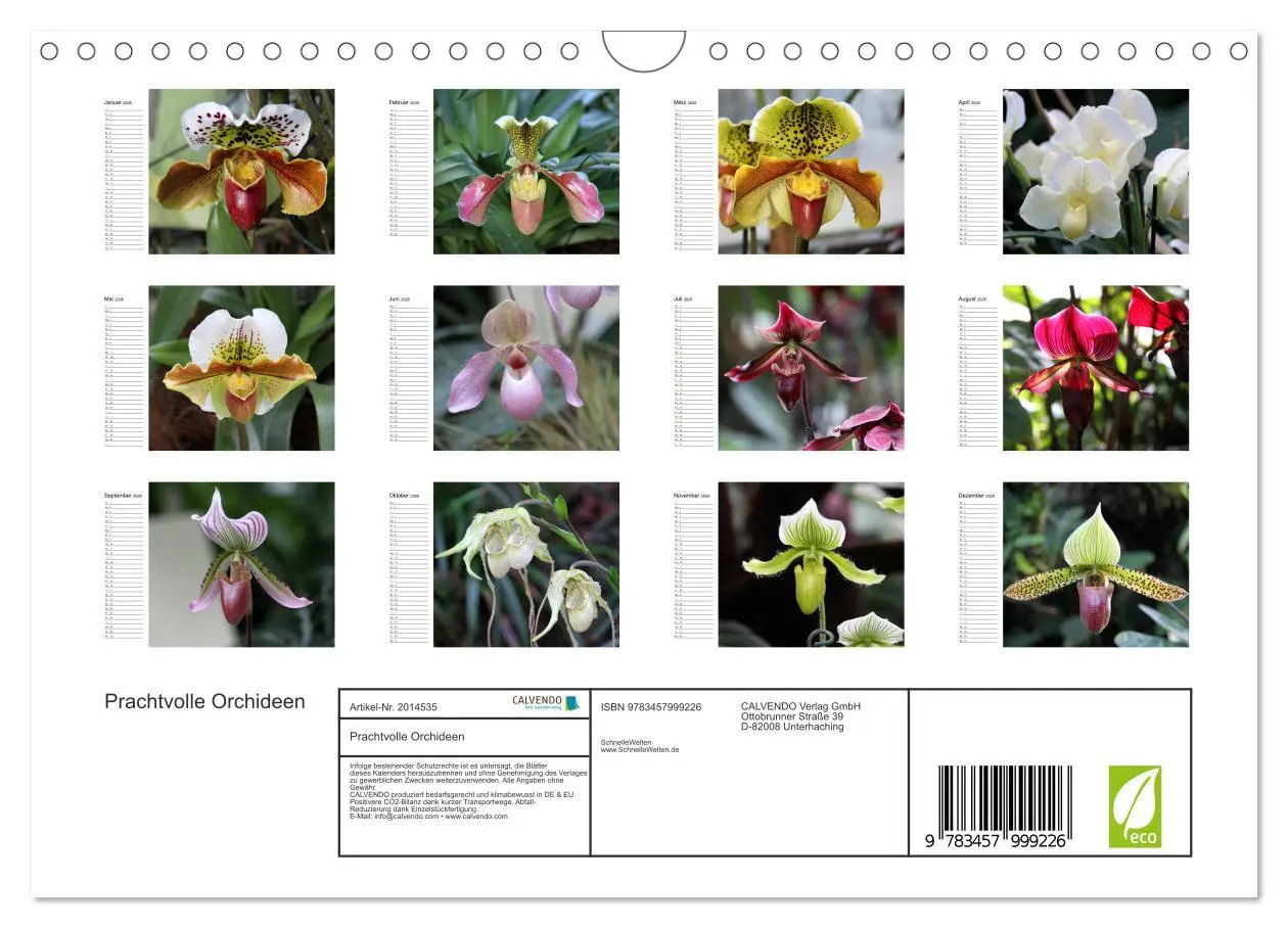 Bild: 9783457999226 | Prachtvolle Orchideen (Wandkalender 2026 DIN A4 quer), CALVENDO...