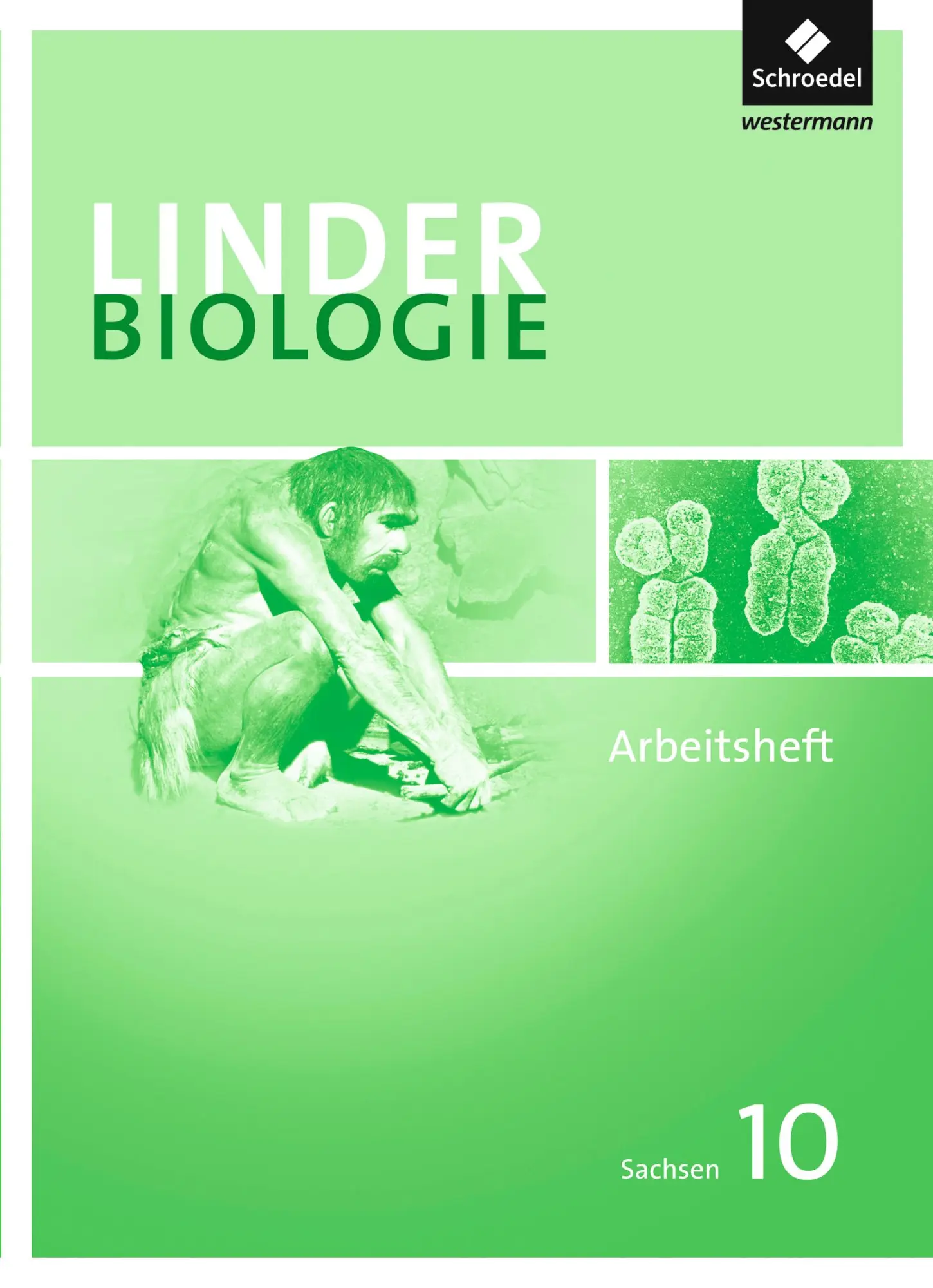 Cover: 9783507869226 | LINDER Biologie 10. Arbeitsheft. Sekundarstufe 1. Sachsen | Erdmann
