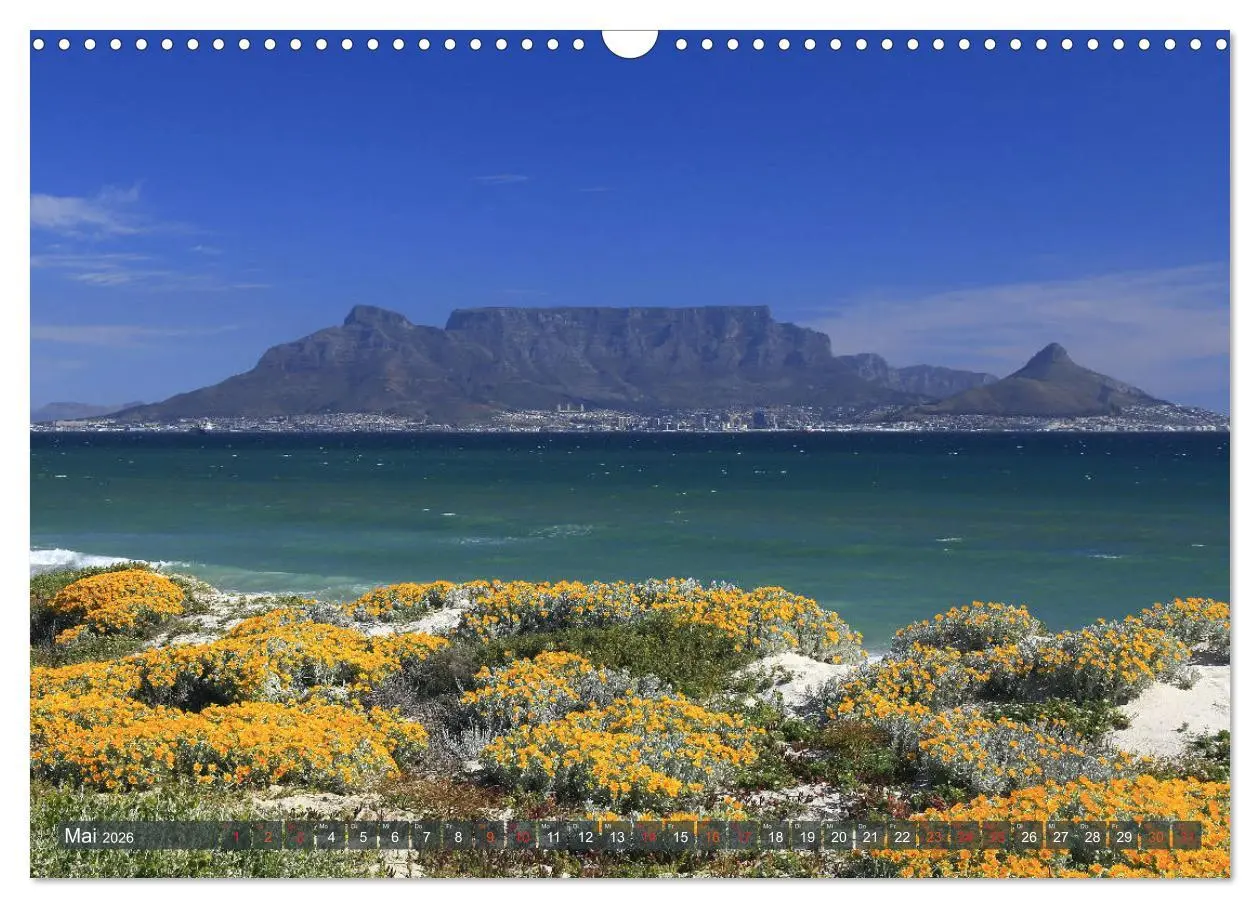 Bild: 9783516089226 | Südafrika - Westkap (Wandkalender 2026 DIN A3 quer), CALVENDO...