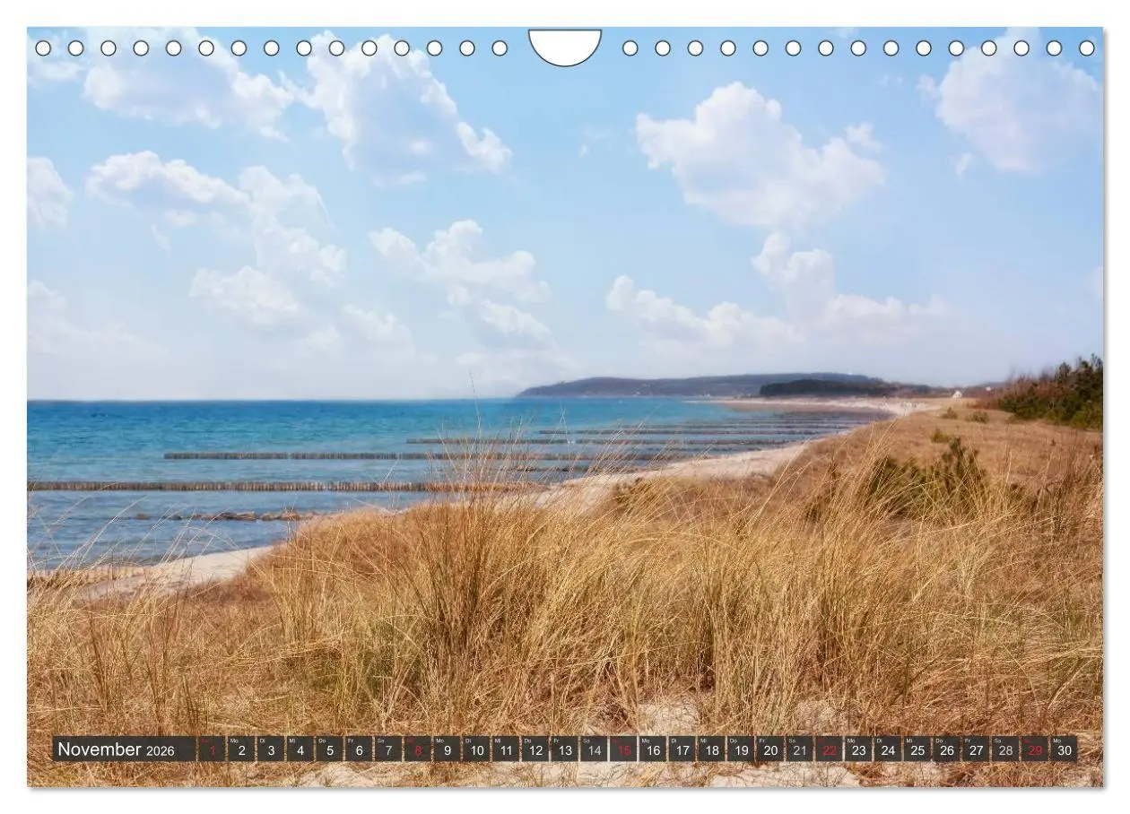 Bild: 9783516159226 | Insel Hiddensee (Wandkalender 2026 DIN A4 quer), CALVENDO...
