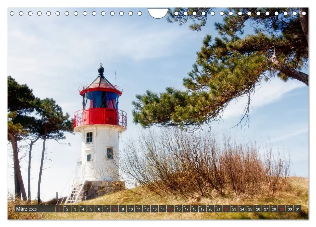 Bild: 9783516159226 | Insel Hiddensee (Wandkalender 2026 DIN A4 quer), CALVENDO...
