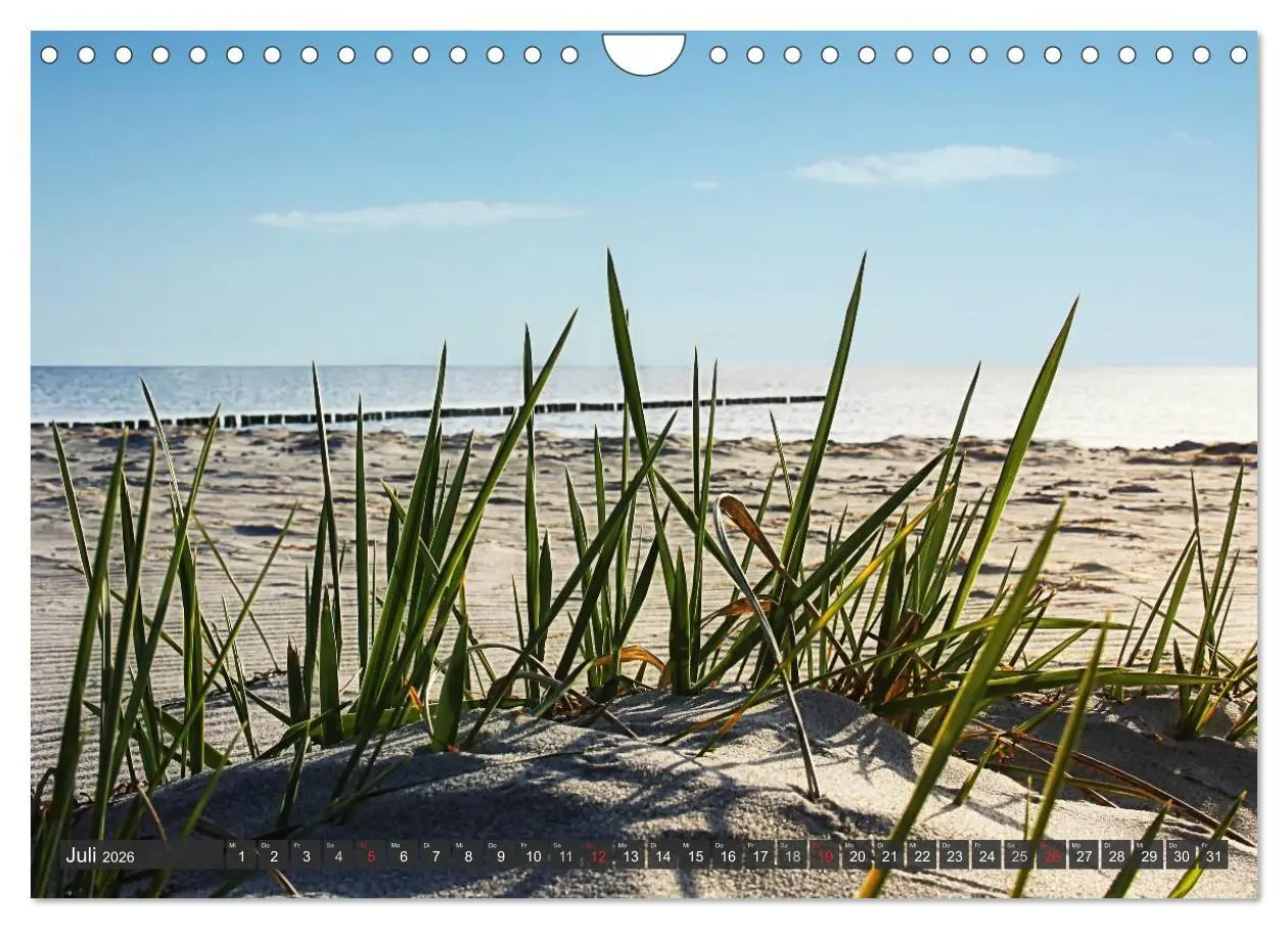 Bild: 9783516159226 | Insel Hiddensee (Wandkalender 2026 DIN A4 quer), CALVENDO...