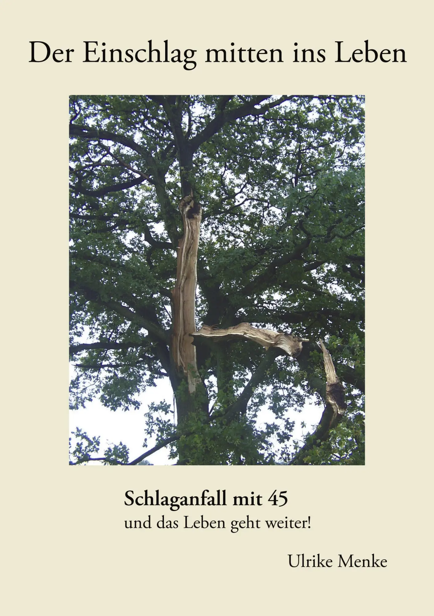 Cover: 9783833409226 | Der Einschlag mitten ins Leben | Ulrike Menke | Taschenbuch | 117 S.