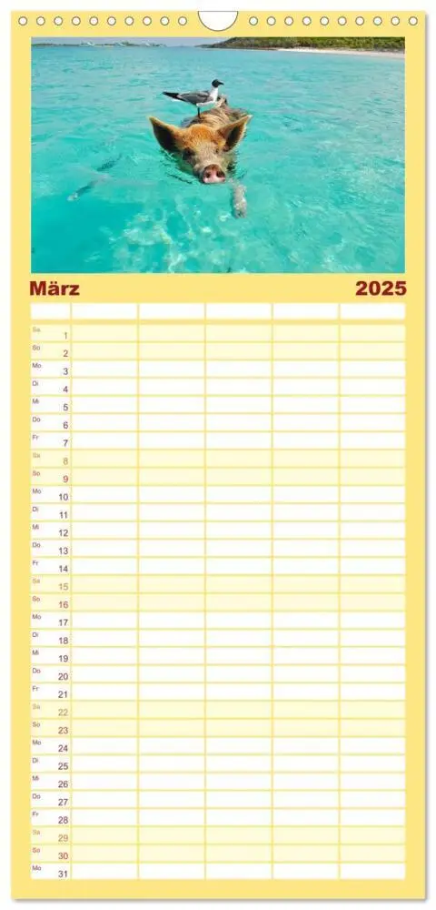 Bild: 9783457119426 | Familienplaner 2025 - Schweine im Dauerurlaub auf den Bahamas! mit...