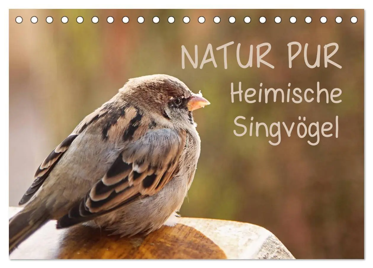 Cover: 9783516069426 | NATUR PUR Heimische Singvögel (Tischkalender 2026 DIN A5 quer),...