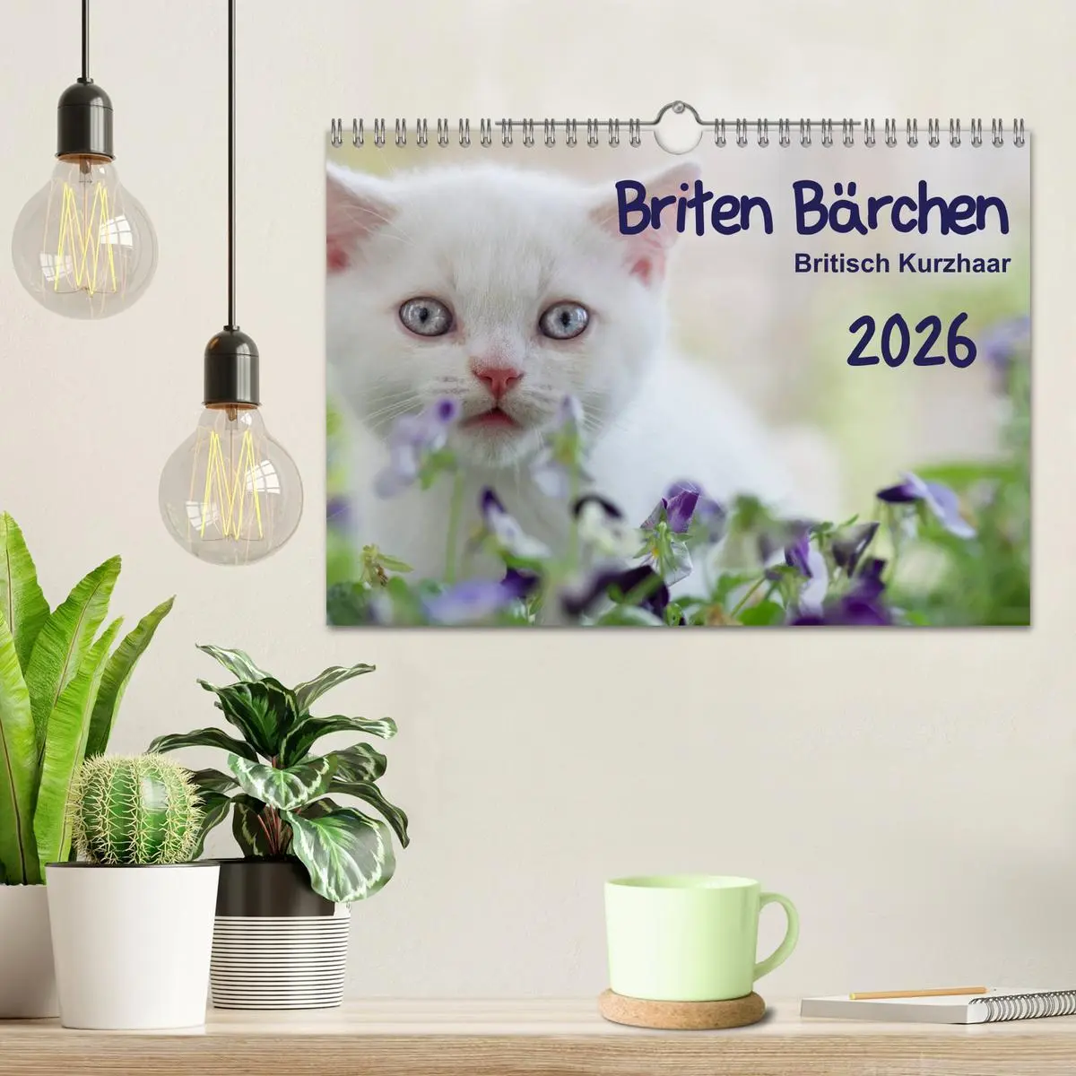Bild: 9783516139426 | Briten Bärchen - Britsch Kurzhaar 2026 (Wandkalender 2026 DIN A4...