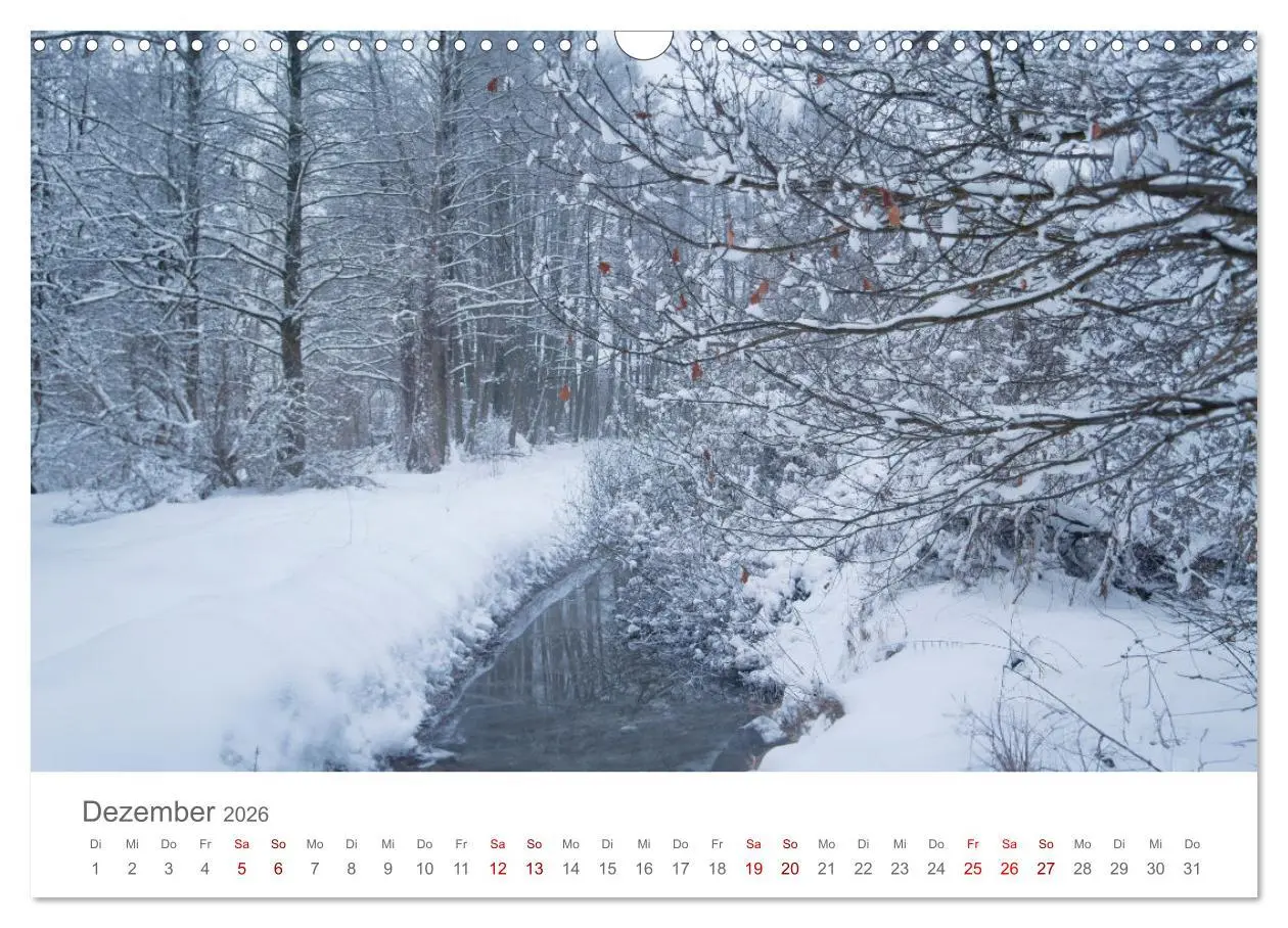Bild: 9783457349526 | Spreewald - Ein Naturparadies (Wandkalender 2026 DIN A3 quer),...