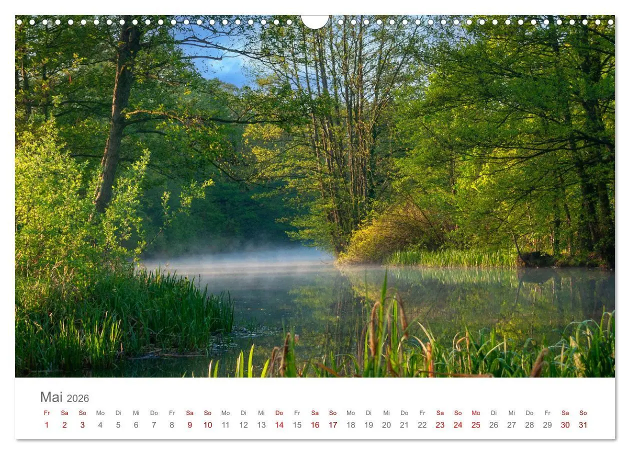 Bild: 9783457349526 | Spreewald - Ein Naturparadies (Wandkalender 2026 DIN A3 quer),...
