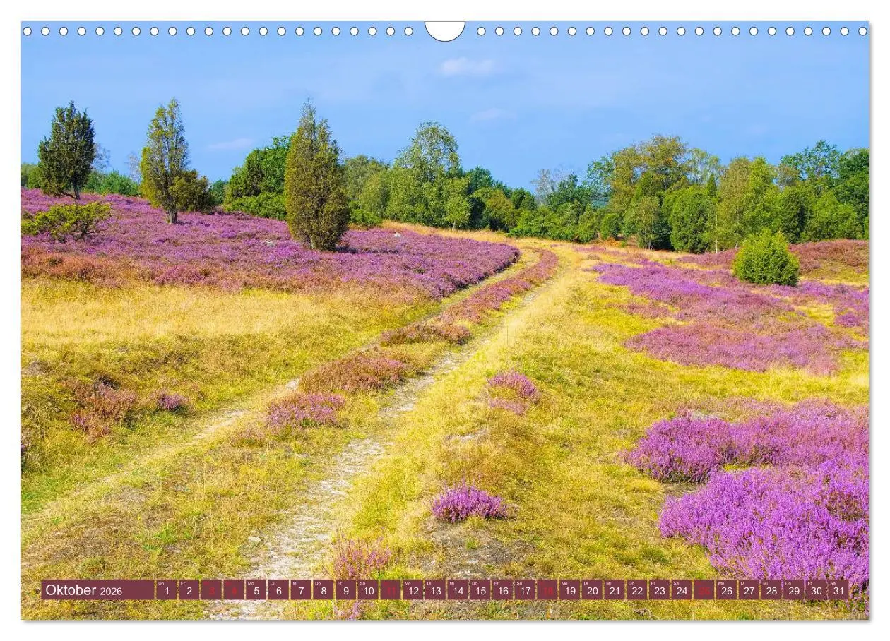 Bild: 9783457729526 | Lüneburger Heide - Wanderung rund um Wilsede und Totengrund...