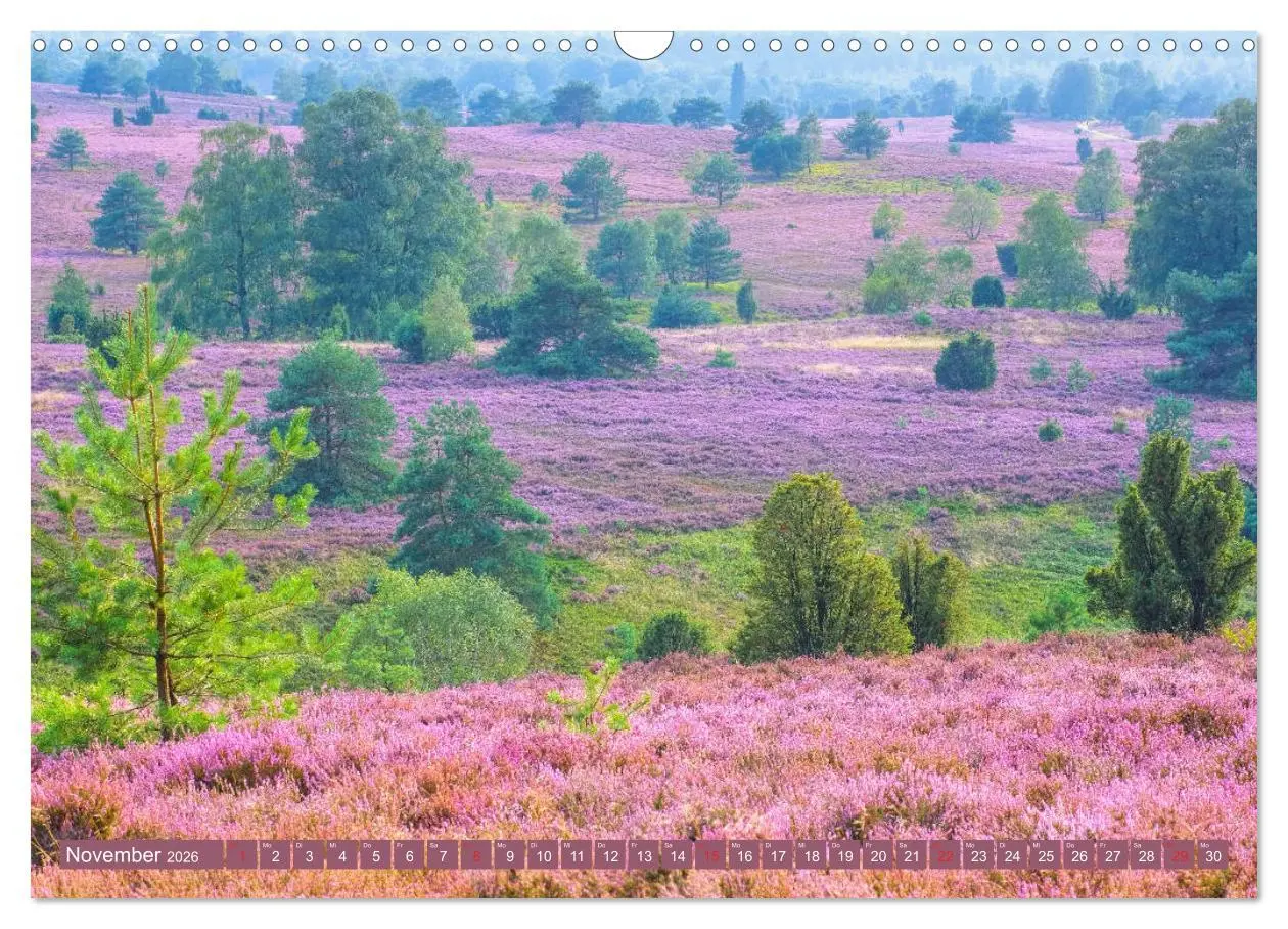 Bild: 9783457729526 | Lüneburger Heide - Wanderung rund um Wilsede und Totengrund...