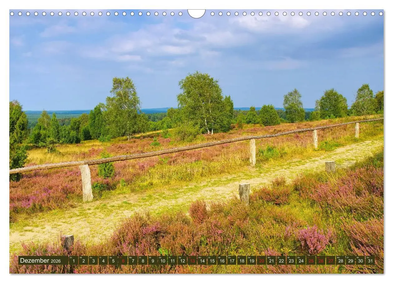 Bild: 9783457729526 | Lüneburger Heide - Wanderung rund um Wilsede und Totengrund...