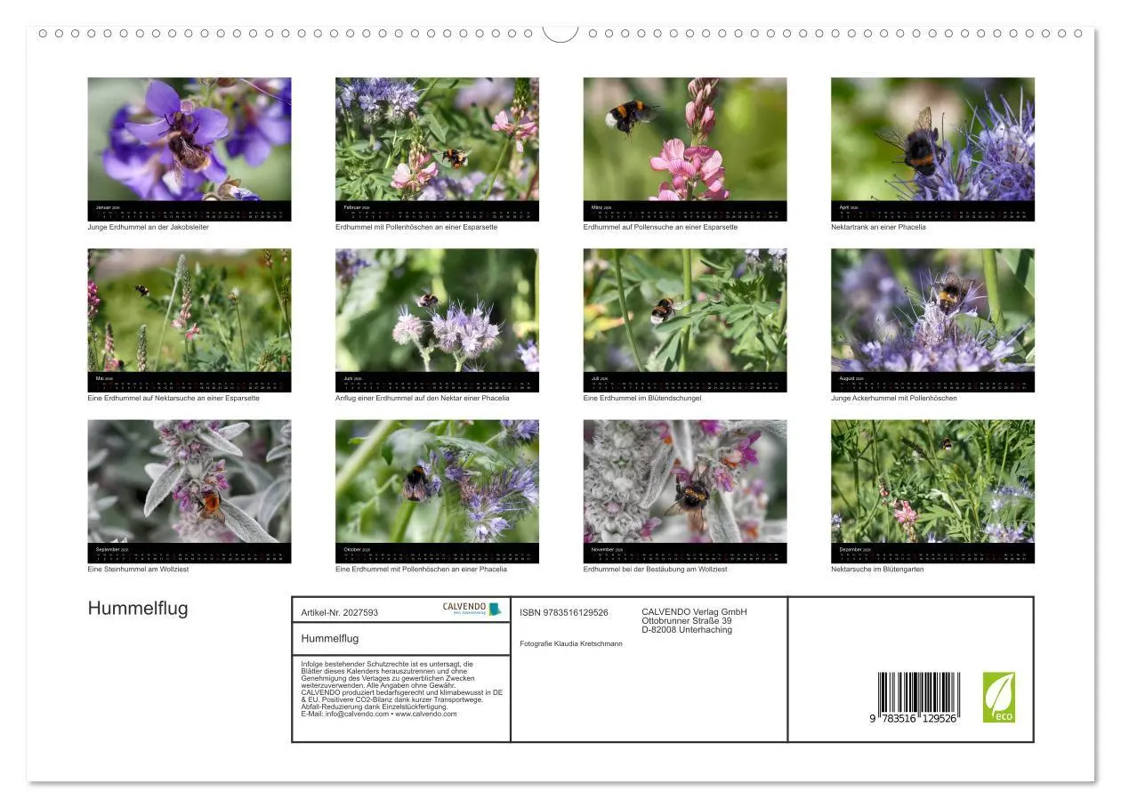 Bild: 9783516129526 | Hummelflug (hochwertiger Premium Wandkalender 2026 DIN A2 quer),...