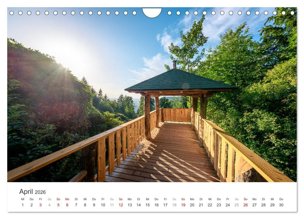 Bild: 9783457269626 | Heidelberg im Fokus (Wandkalender 2026 DIN A4 quer), CALVENDO...