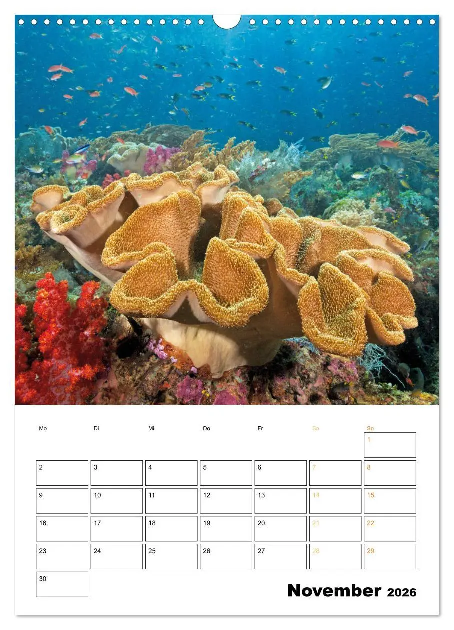 Bild: 9783516599626 | Farbrausch unter Wasser: Fische am Riff (Wandkalender 2026 DIN A3...