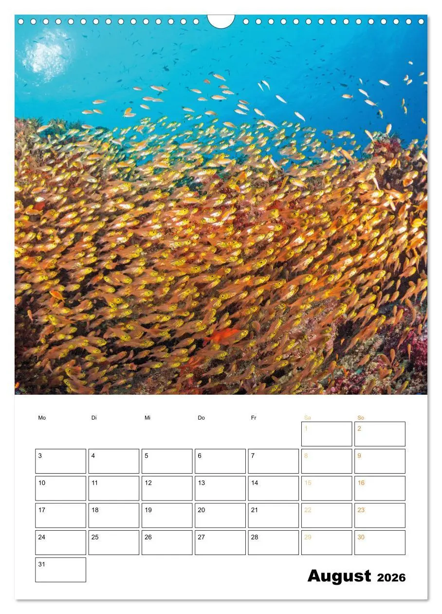 Bild: 9783516599626 | Farbrausch unter Wasser: Fische am Riff (Wandkalender 2026 DIN A3...