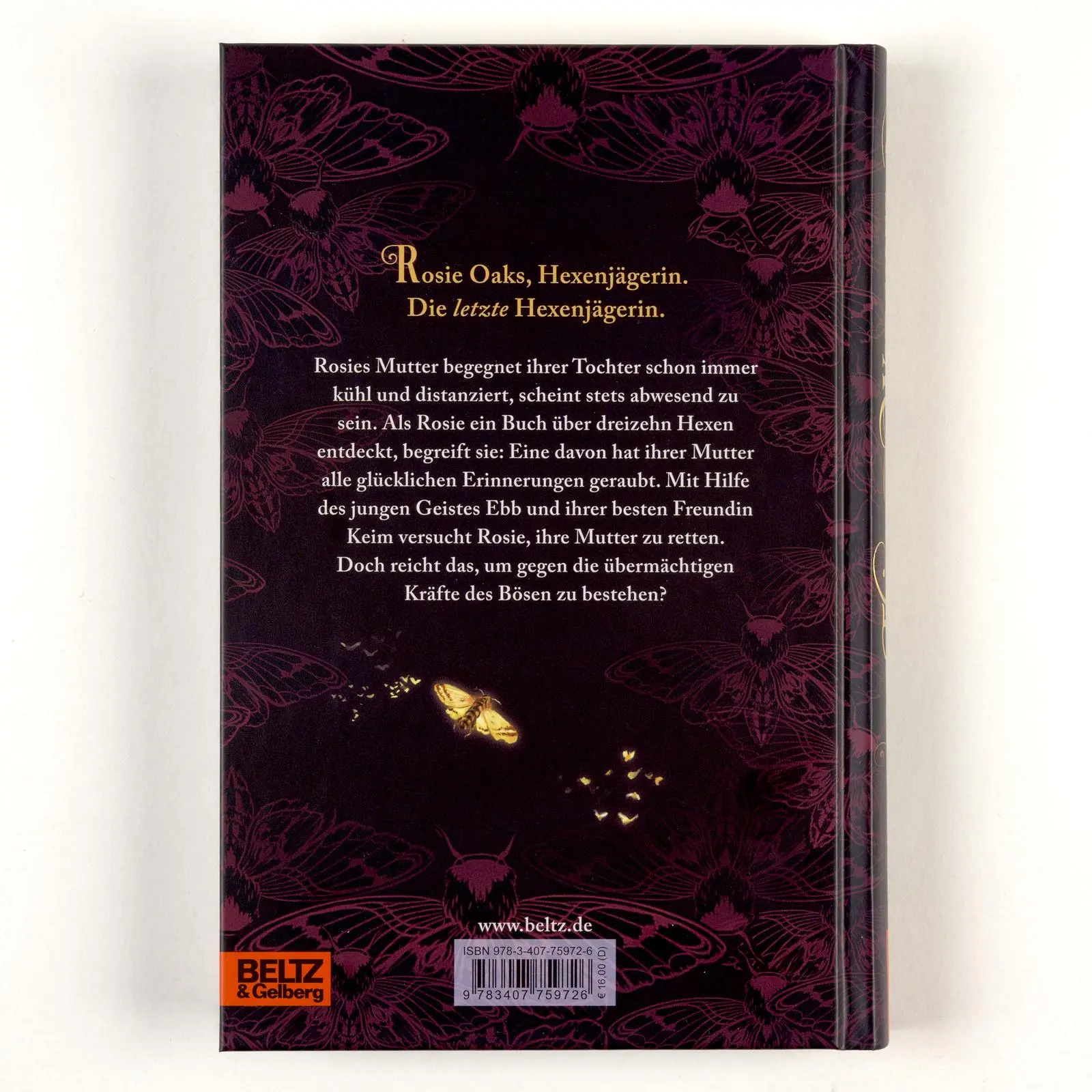 Rückseite: 9783407759726 | Thirteen Witches - Die Erinnerungsdiebin | Band 1 der Reihe 13 Witches