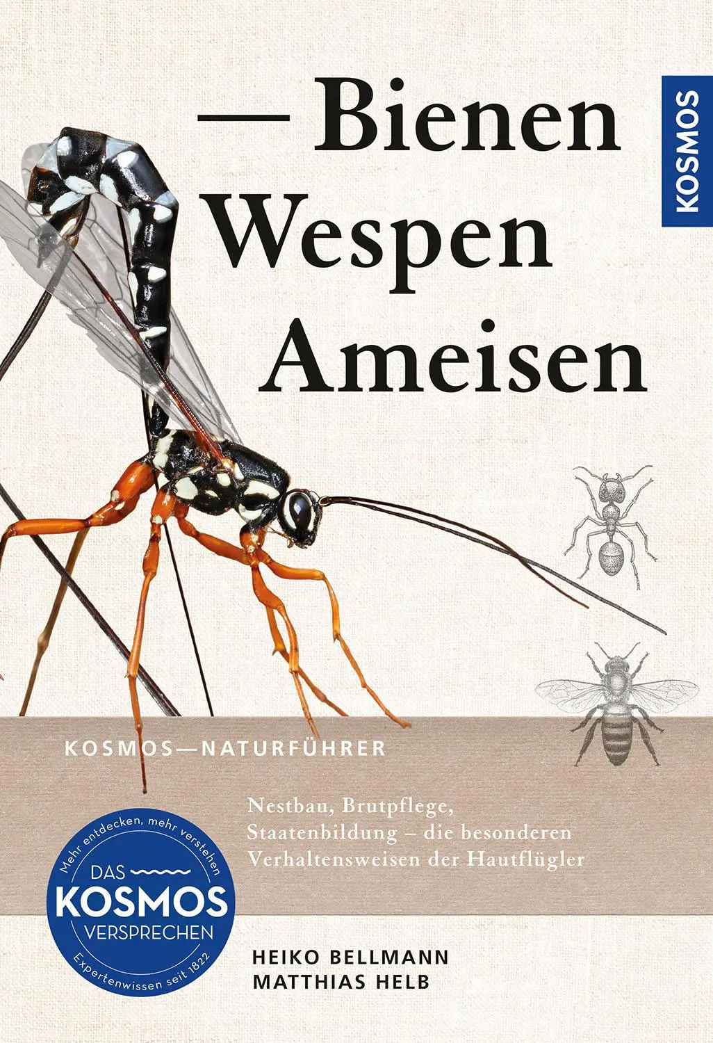 Cover: 9783440179826 | Bienen, Wespen, Ameisen | Heiko Bellmann (u. a.) | Taschenbuch | 2024
