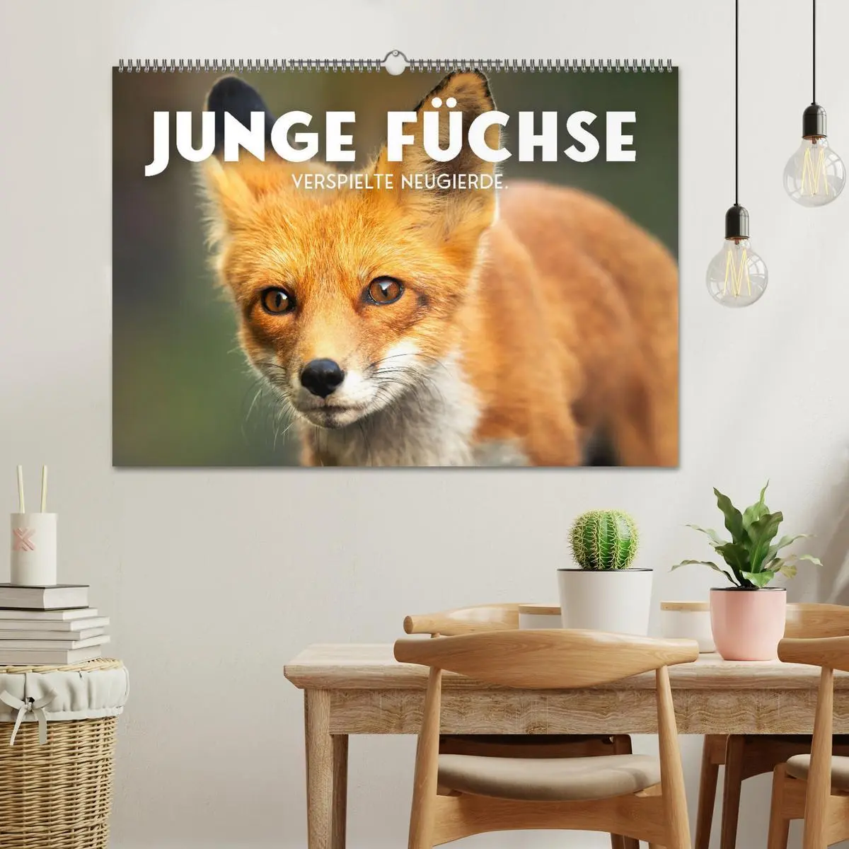 Bild: 9783457559826 | Junge Füchse - Verspielte Neugierde. (Wandkalender 2026 DIN A2...