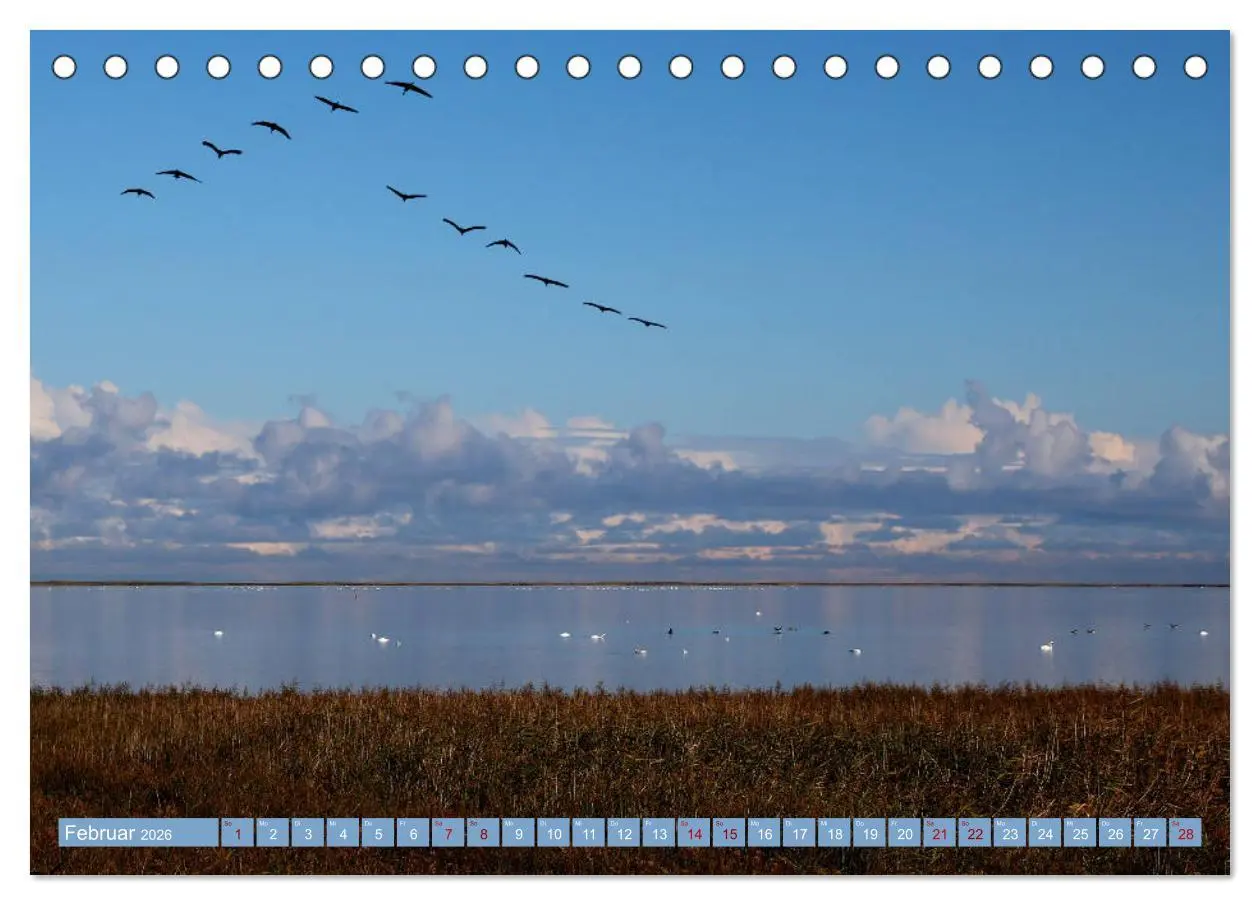 Bild: 9783457939826 | Stralsund und die Boddenlandschaft (Tischkalender 2026 DIN A5...