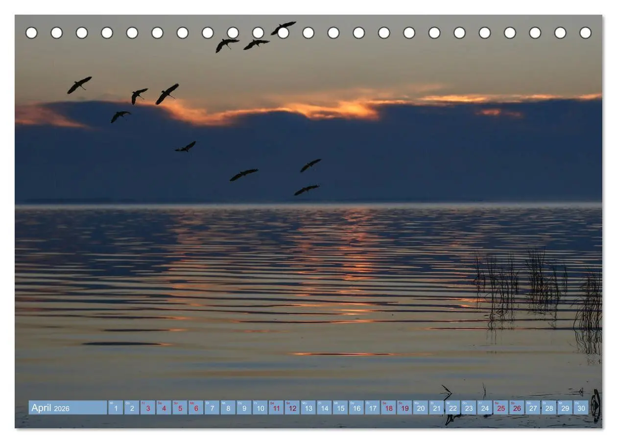 Bild: 9783457939826 | Stralsund und die Boddenlandschaft (Tischkalender 2026 DIN A5...