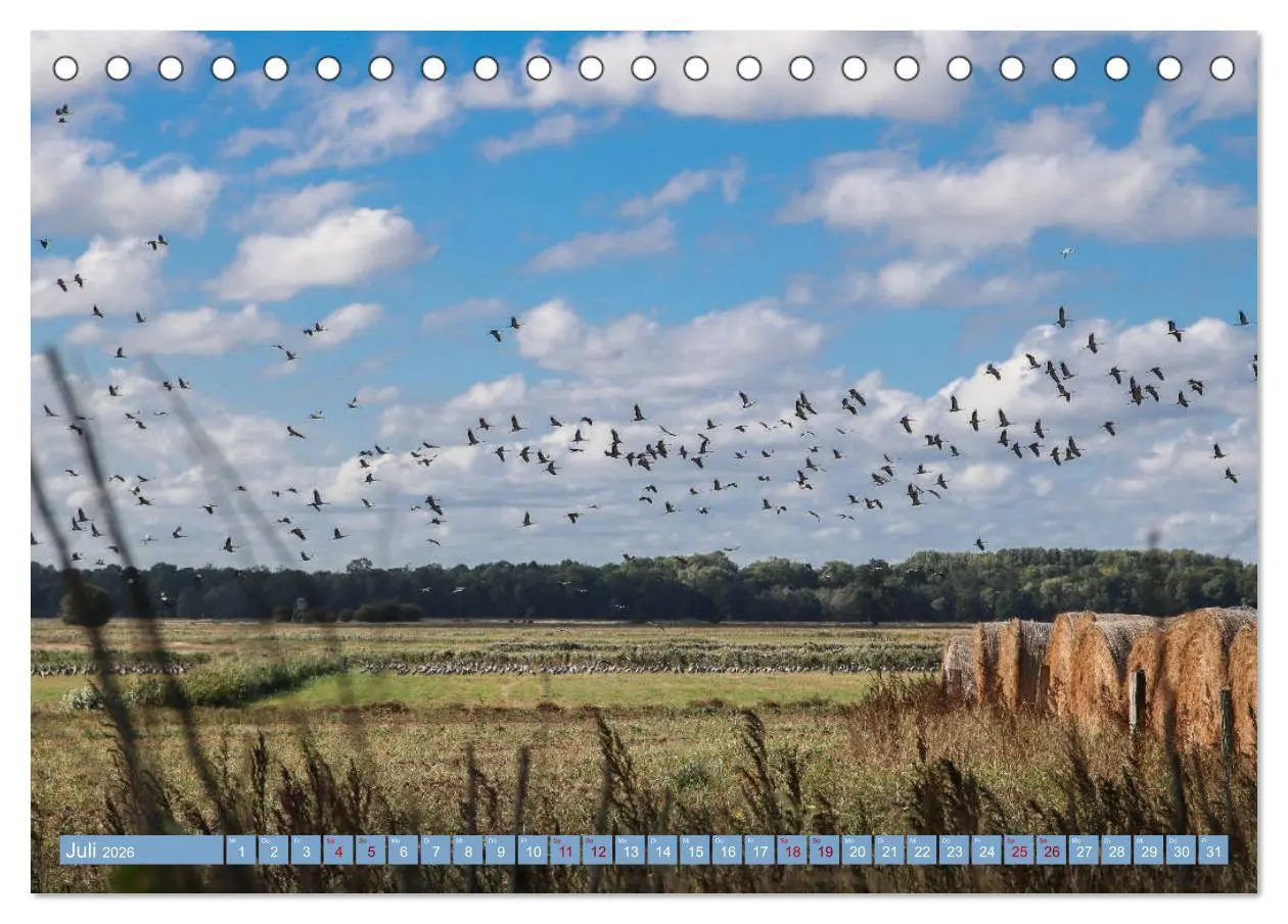 Bild: 9783457939826 | Stralsund und die Boddenlandschaft (Tischkalender 2026 DIN A5...