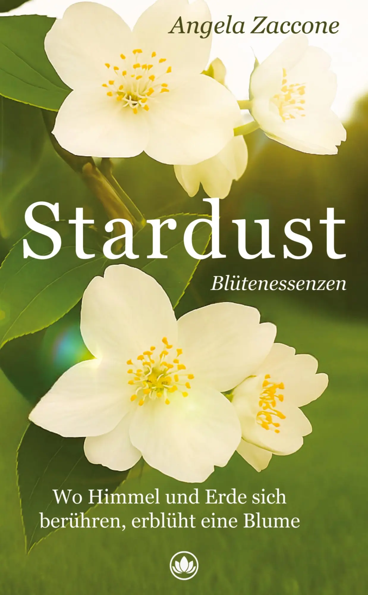 Cover: 9783384669926 | Stardust | Angela Zaccone | Taschenbuch | 152 S. | Deutsch | 2025