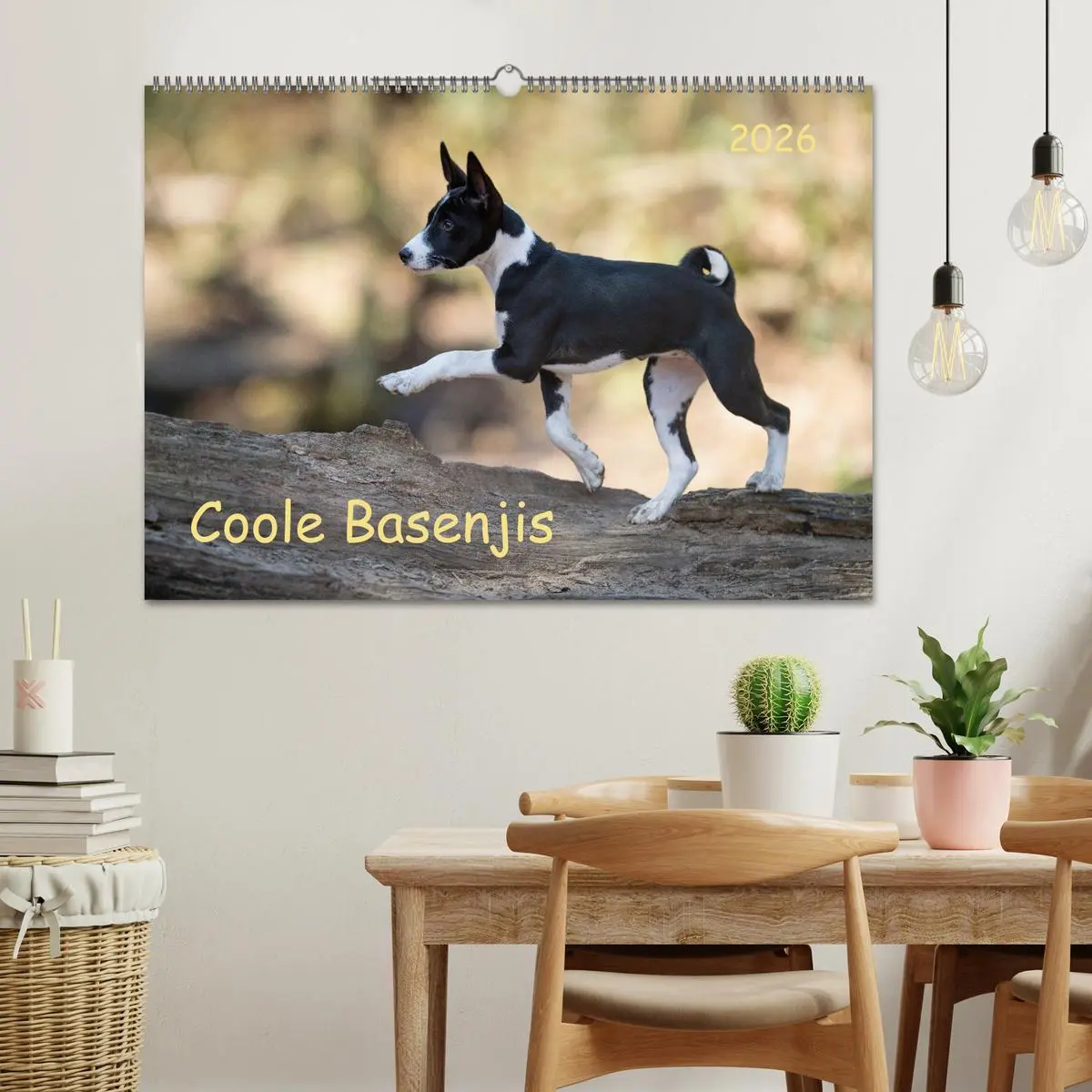 Bild: 9783457619926 | Coole Basenjis (Wandkalender 2026 DIN A2 quer), CALVENDO...