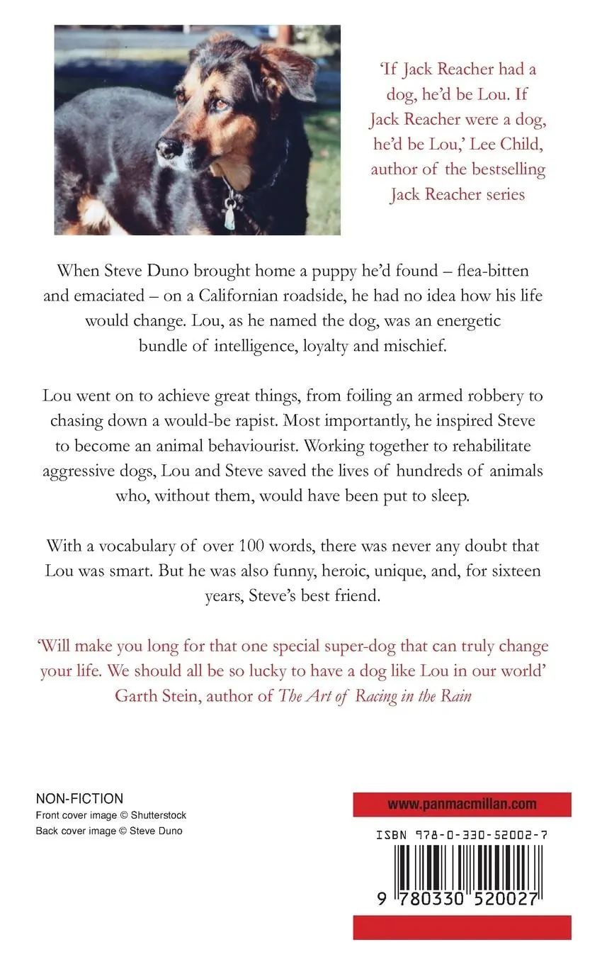 Rückseite: 9780330520027 | The Last Dog on the Hill | Steve Duno | Taschenbuch | Englisch | 2010