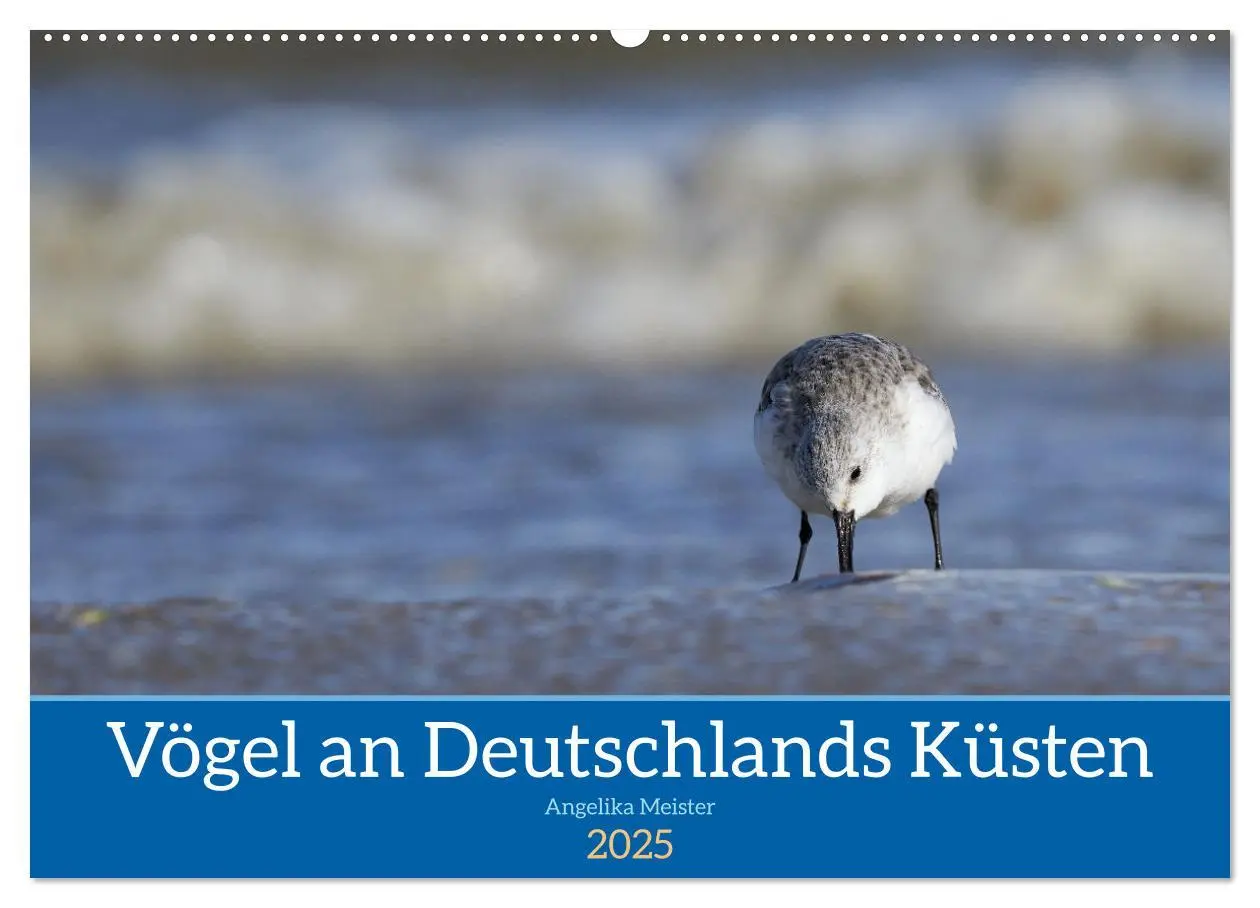 Cover: 9783435020027 | Vögel an Deutschlands Küsten (Wandkalender 2025 DIN A2 quer),...