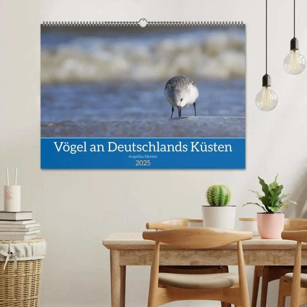 Bild: 9783435020027 | Vögel an Deutschlands Küsten (Wandkalender 2025 DIN A2 quer),...