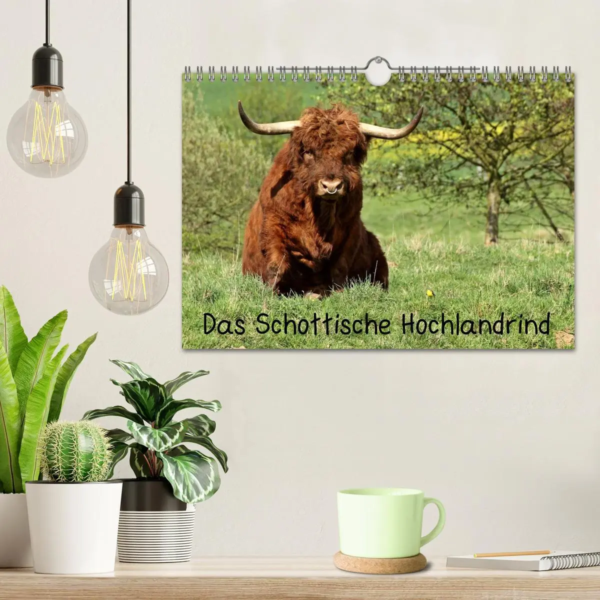 Bild: 9783457970027 | Das Schottische Hochlandrind (Wandkalender 2026 DIN A4 quer),...