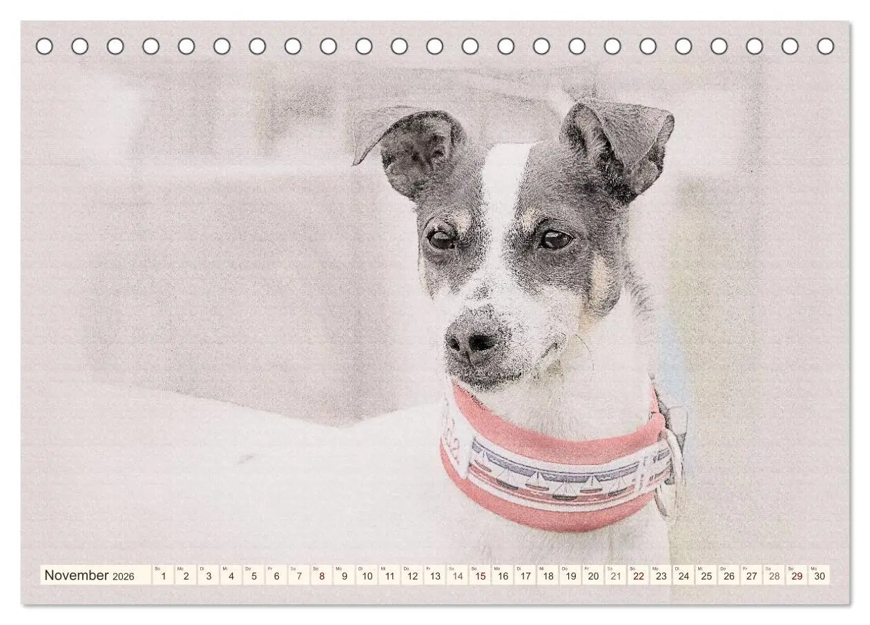Bild: 9783516130027 | Bodeguero Andaluz 2026 (Tischkalender 2026 DIN A5 quer), CALVENDO...