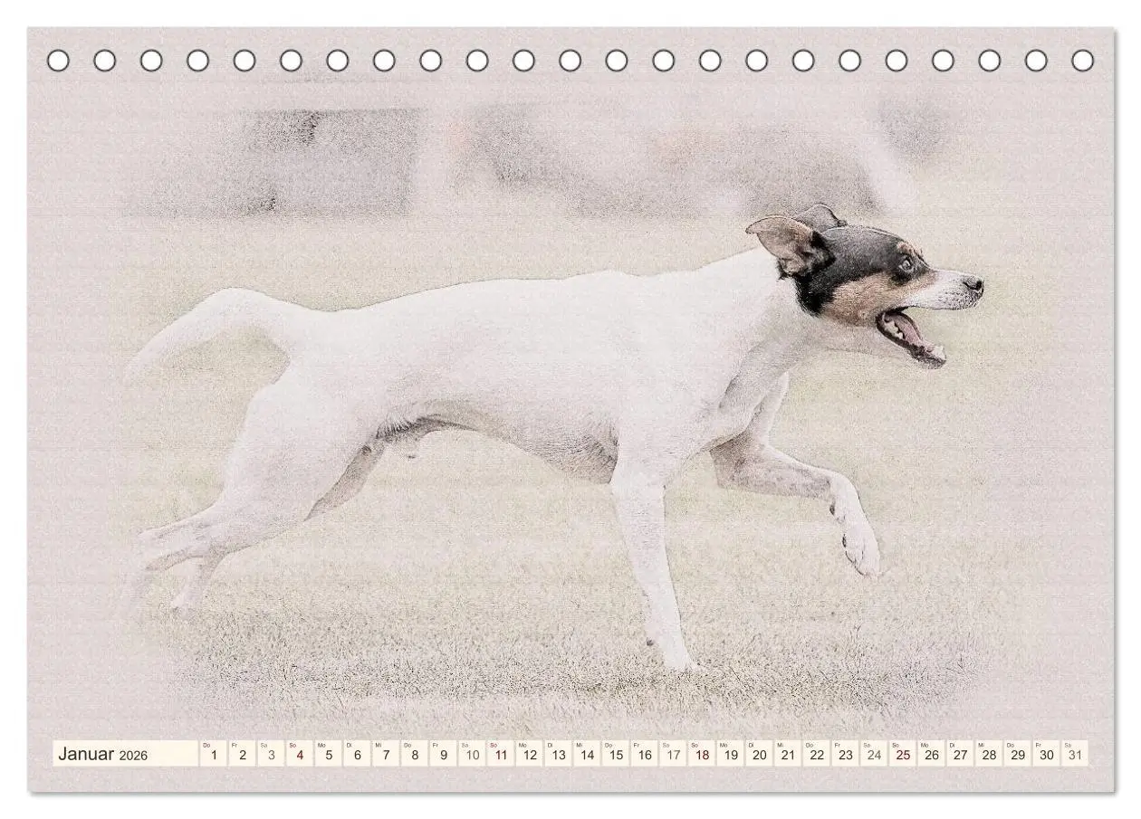 Bild: 9783516130027 | Bodeguero Andaluz 2026 (Tischkalender 2026 DIN A5 quer), CALVENDO...
