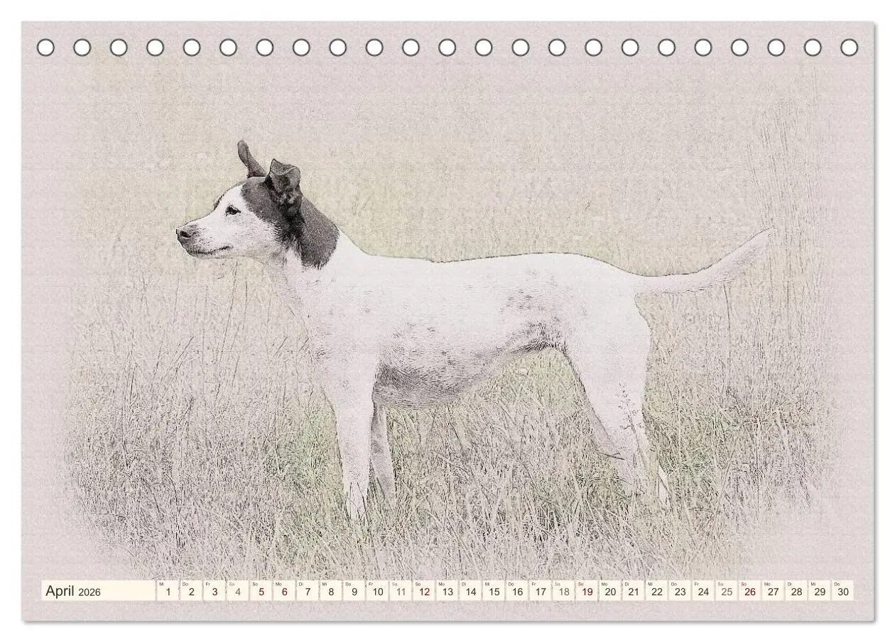 Bild: 9783516130027 | Bodeguero Andaluz 2026 (Tischkalender 2026 DIN A5 quer), CALVENDO...