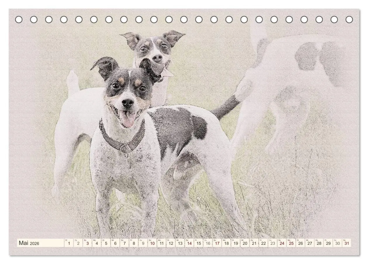 Bild: 9783516130027 | Bodeguero Andaluz 2026 (Tischkalender 2026 DIN A5 quer), CALVENDO...