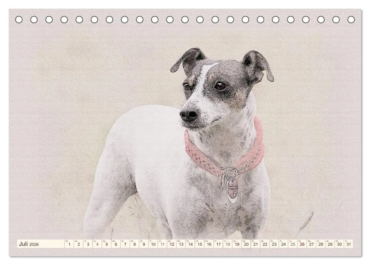 Bild: 9783516130027 | Bodeguero Andaluz 2026 (Tischkalender 2026 DIN A5 quer), CALVENDO...