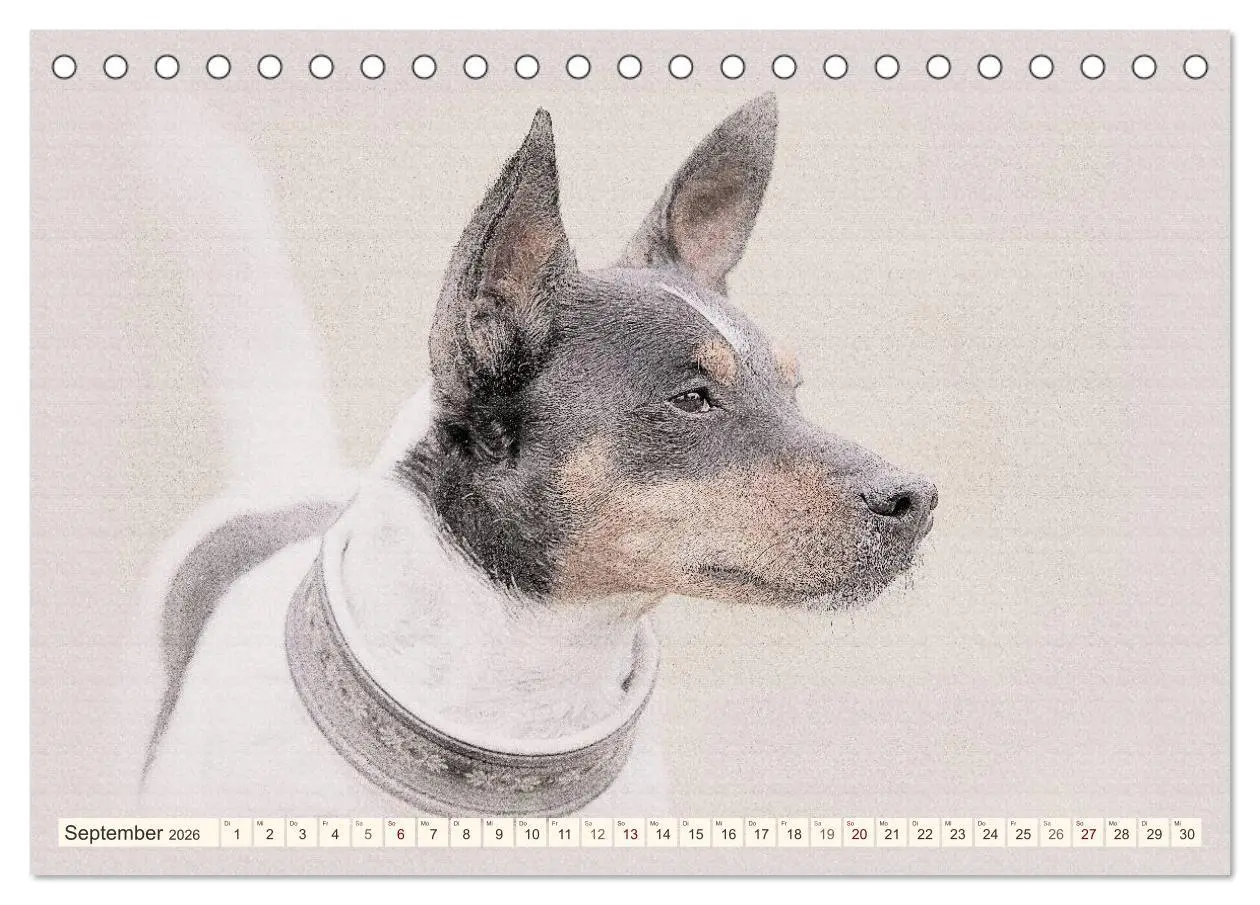 Bild: 9783516130027 | Bodeguero Andaluz 2026 (Tischkalender 2026 DIN A5 quer), CALVENDO...