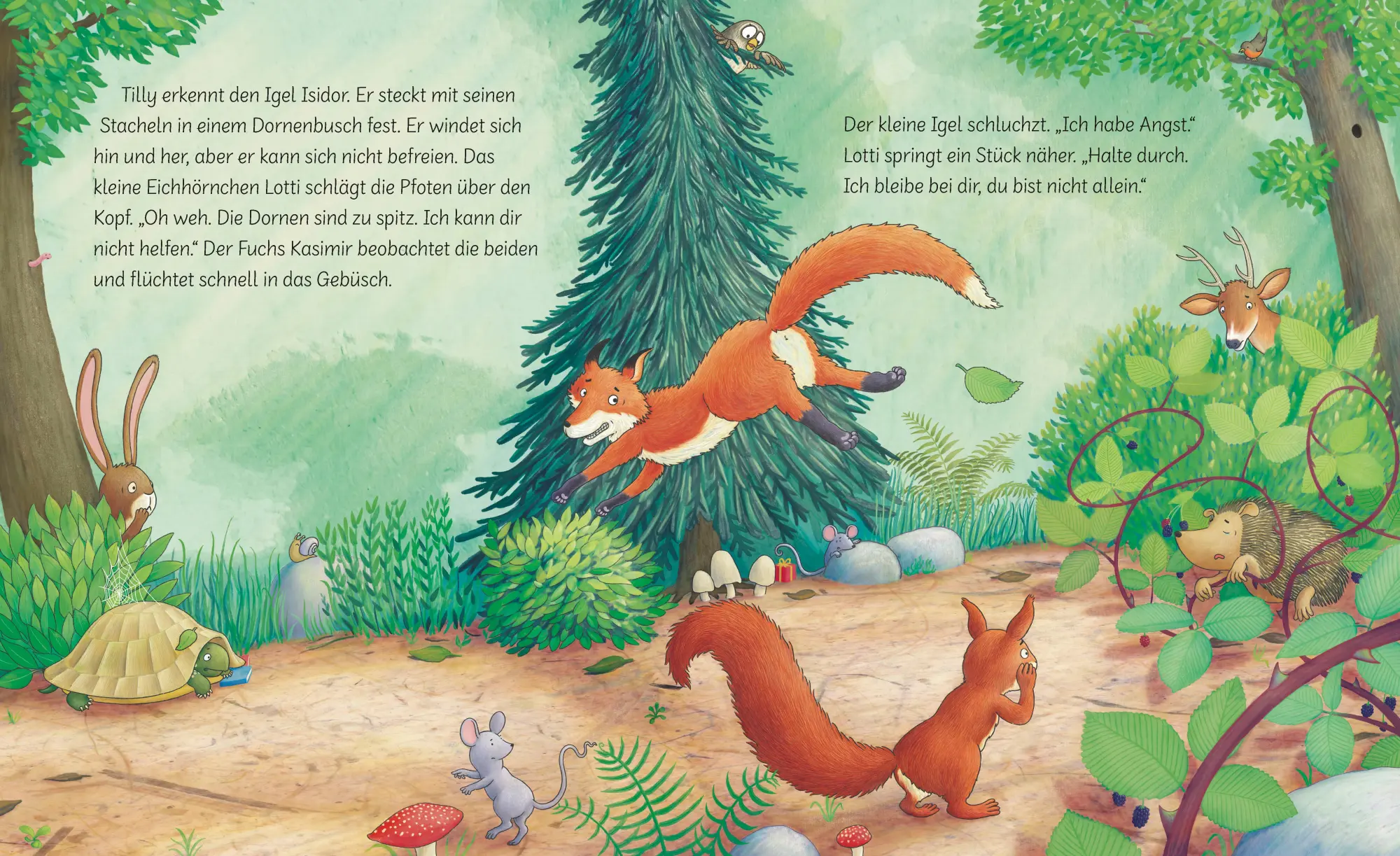 Bild: 9783765550027 | Trau dich, Tilly! | Rebecca Martin | Buch | 32 S. | Deutsch | 2025