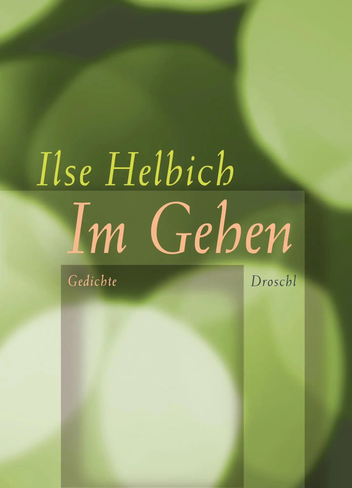 Cover: 9783990590027 | Im Gehen | Ilse Helbich | Buch | 64 S. | Deutsch | 2017