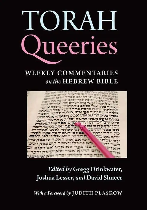 Cover: 9780814720127 | Torah Queeries | Gregg Drinkwater (u. a.) | Buch | Gebunden | Englisch
