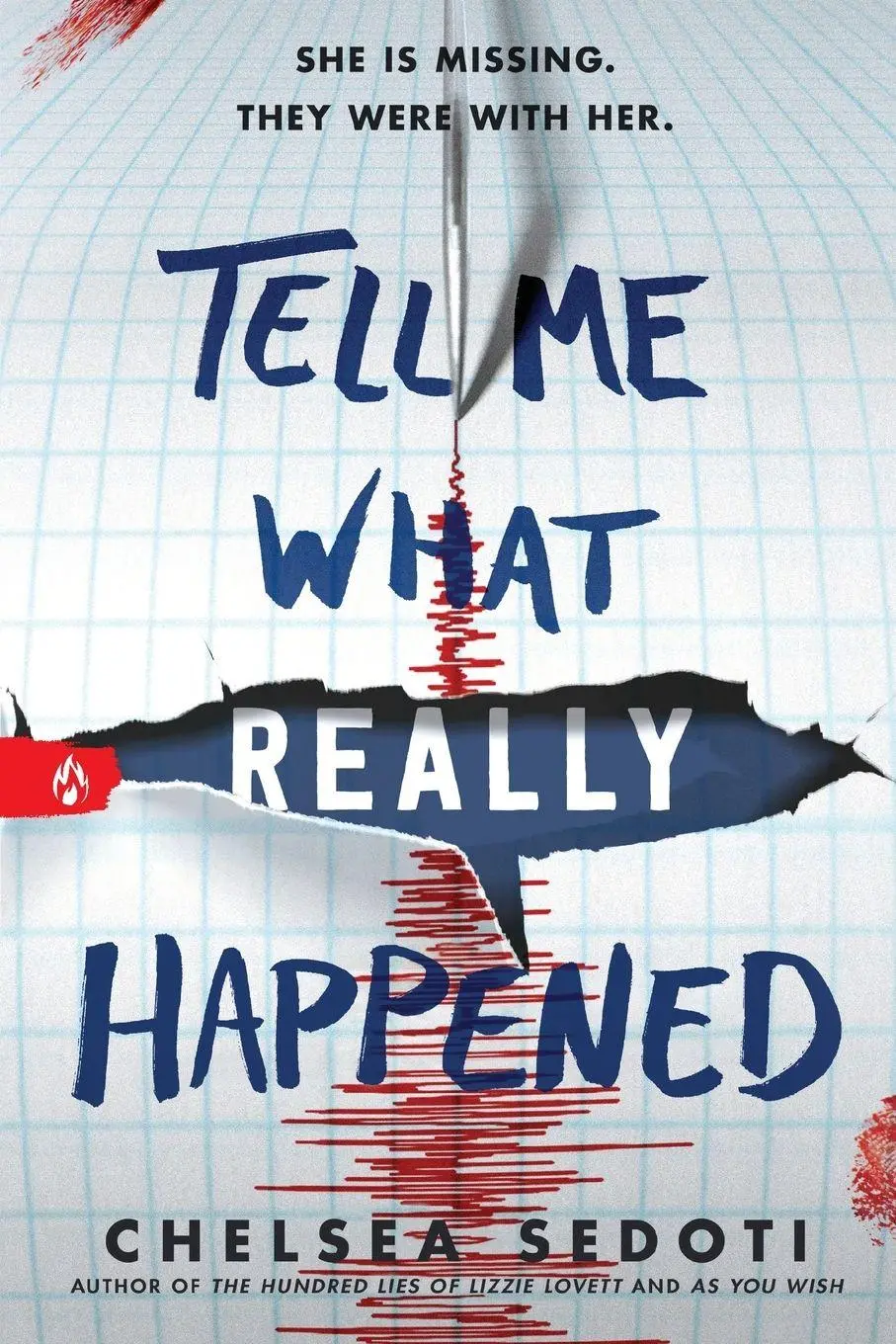 Cover: 9781728280127 | Tell Me What Really Happened | Chelsea Sedoti | Taschenbuch | Englisch