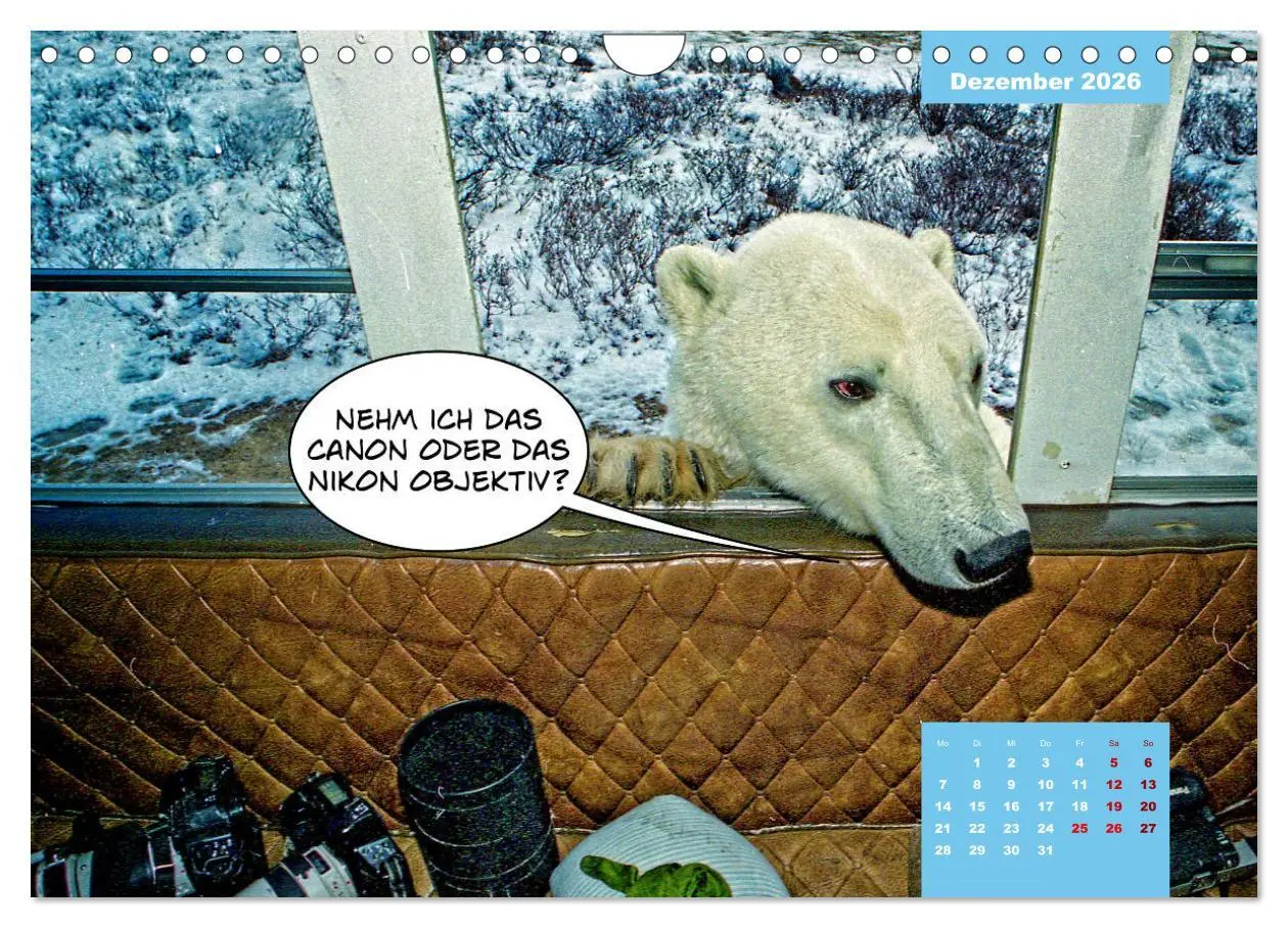 Bild: 9783457720127 | Lustige Eisbären (Wandkalender 2026 DIN A4 quer), CALVENDO...