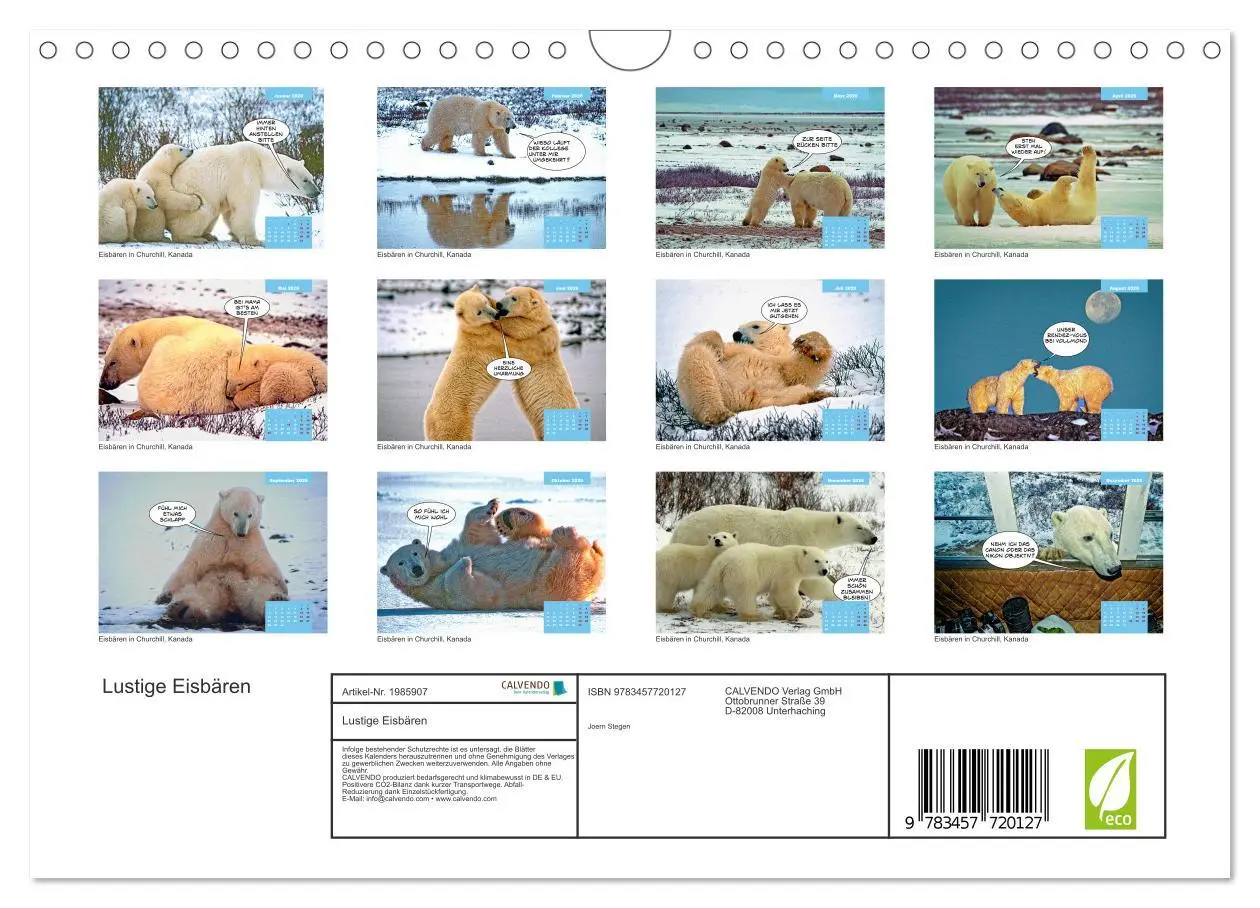 Bild: 9783457720127 | Lustige Eisbären (Wandkalender 2026 DIN A4 quer), CALVENDO...