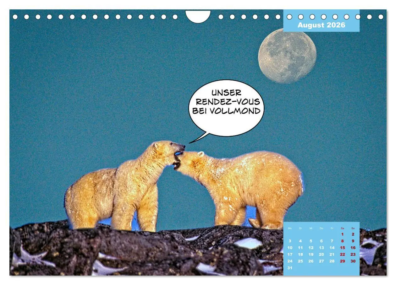 Bild: 9783457720127 | Lustige Eisbären (Wandkalender 2026 DIN A4 quer), CALVENDO...