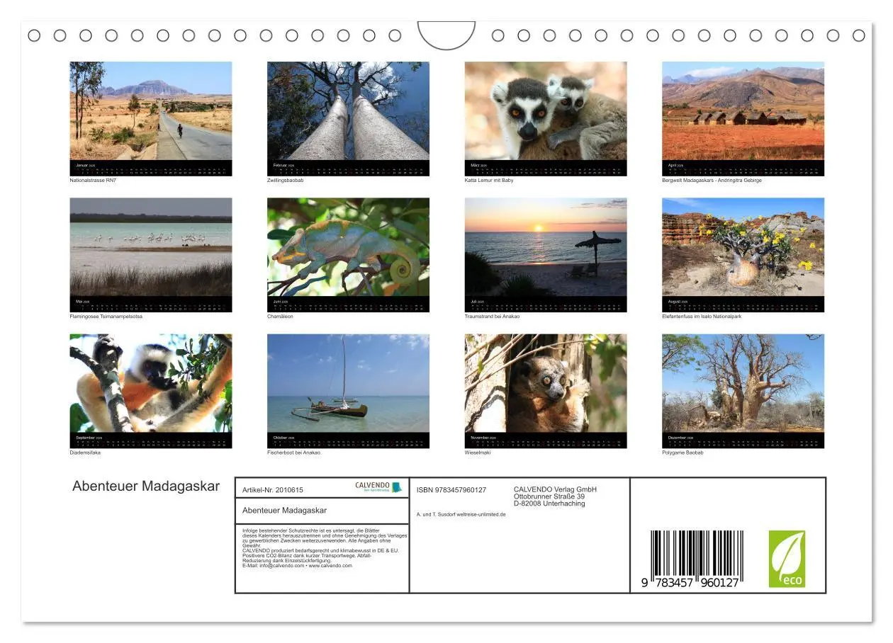 Bild: 9783457960127 | Abenteuer Madagaskar (Wandkalender 2026 DIN A4 quer), CALVENDO...